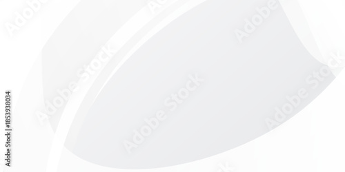 Abstract  white and gray color, modern design stripes background with geometric round shape. White luxuary baground . Suit for bussines, banners