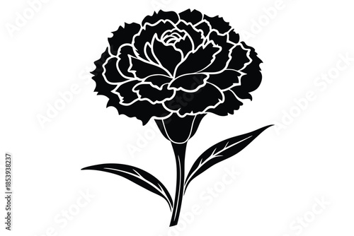 carnation silhouette line art vector illustration with a white background