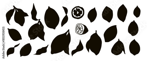 Silhouette lemon illustrations. Hand drawn naive doodle fruit featuring slices, branches in cutouts. Vector lemons scribble hand drawn isolated no bg.