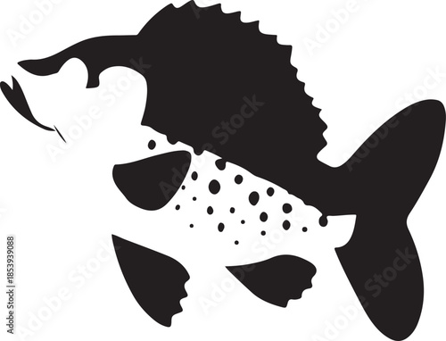 Silhouette of a speckled fish with fins and tail isolated on white background
