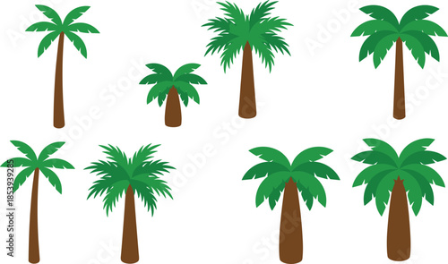Palm tree illustration set, tropical coconut palms collection, summer beach nature elements isolated on white background, flat vector design, art