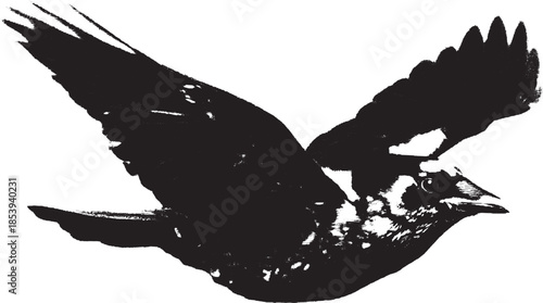 Black bird in flight with outstretched wings. A clean silhouette vector illustration showcasing movement and nature.