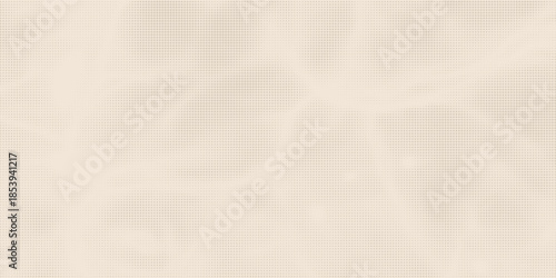 Halftone effect background with organic eggshell texture. Gritty retro monochrome vector gradient.