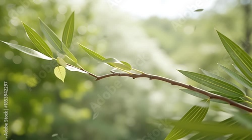 Fresh green leaves gently falling from a branch in a serene natural setting with blurred background