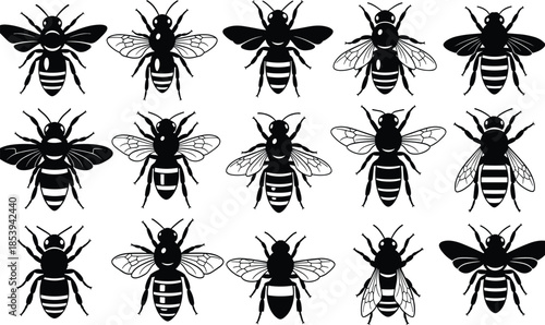 Bee silhouettes collection showing honey bees in different wing positions isolated on white background insect wildlife illustration concept