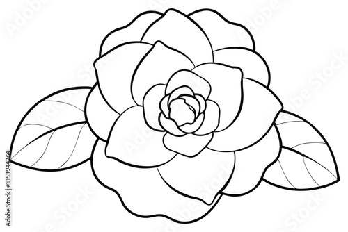 camellia silhouette line art vector illustration with a white background