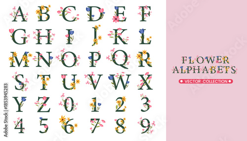 Set of flower alphabets collection
