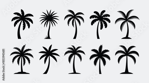 A collection of various black palm tree silhouettes stands elegantly against a soft light grey background