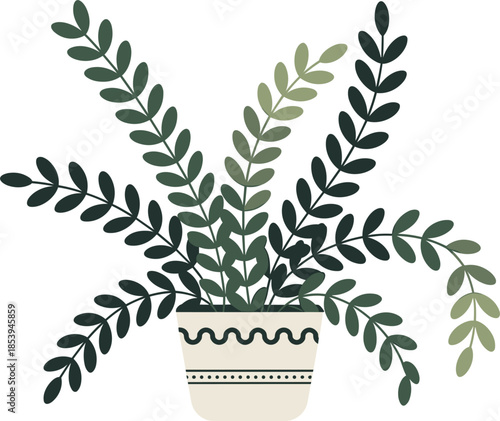 Potted Houseplant with Spreading Green Leaves on White Background potted plant