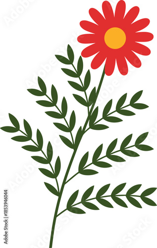 Red Daisy Flower with Green Leaves and Stem on White Background bloom blossom