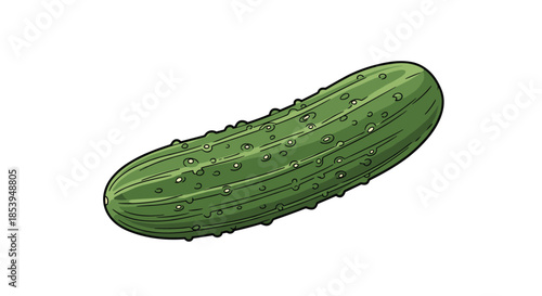 Single fresh green bumpy pickling cucumber with realistic texture and detail in a hand-drawn vector style on a white background.
