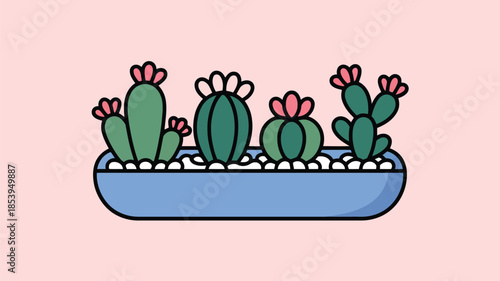 Four cartoon green cacti with pink flowers are beautifully arranged in a long blue planter