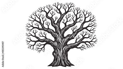 Detailed black and white linocut style illustration of a large, bare tree with intricate branches and textured bark against a clean white background, evoking a sense of nature and growth.