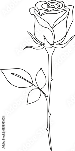 Elegant single rose line art drawing capturing the simplicity and beauty of nature's form