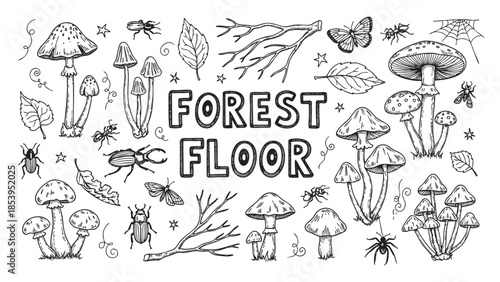 A whimsical hand-drawn collection of forest floor elements including mushrooms, insects, leaves, and branches, set against a white background.