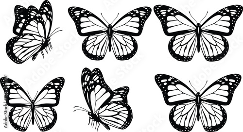 set of butterflies