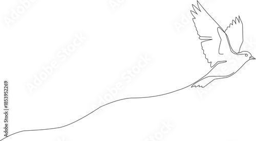 Continuous line drawing of a graceful bird in flight on a clean white background