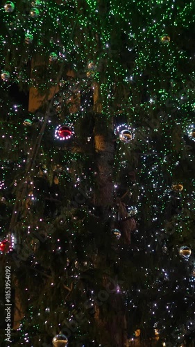 Vertical: A tight shot of the Christmas tree lights installed in St Peter Square. The scene highlights the festive glow and the quiet Christmas atmosphere of the night.