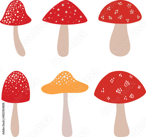 Hand Drawn Forest Mushrooms Illustration