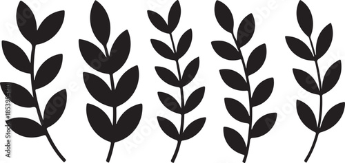 Elegant Leaf Silhouettes Botanical Study