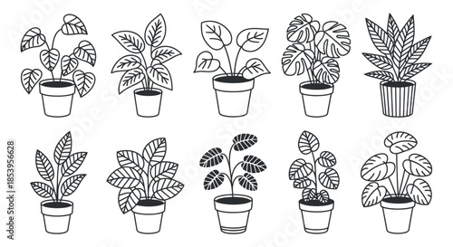 a collection of potted indoor plants in black and white line art showcasing various leaf shapes and sizes arranged in a grid pattern