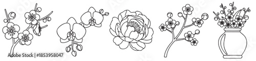 A collection of delicate line art illustrations featuring various flowers including orchids and cherry blossoms, suitable for elegant and natural designs.