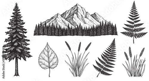 A collection of vintage-style black and white illustrations featuring mountains, pine trees, ferns, leaves, and grasses, perfect for nature or rustic designs.