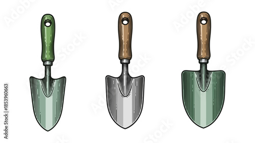Three garden hand trowels with wooden handles and metal blades, isolated on a white background.