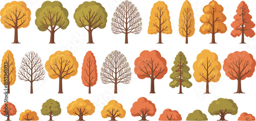 Vector illustration of a collection of autumn trees with colorful fall leaves and foliage set, Vector illustration.