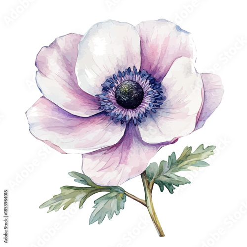 A vectorized, Hand-painted style, vector set available in EPS An Elegant watercolor painting design collection_Watercolor_style_painting_of_a_anemone_flower