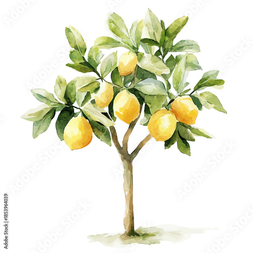 A vectorized, Hand-painted style, vector set available in EPS An Elegant watercolor painting design collection_Watercolor_style_painting_of_a_lemon_tree