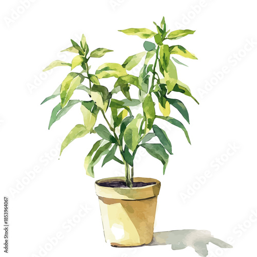 A vectorized, Hand-painted style, vector set available in EPS An Elegant watercolor painting design collection_Watercolor_style_painting_of_a_lemon_verbena_plant