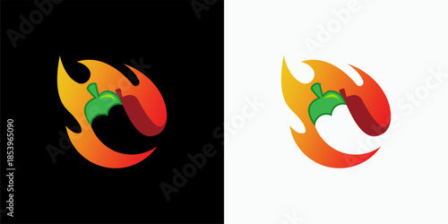 Vector illustration of a fire flames set featuring a dragon silhouette and business logo design element in the style of a Hong Kong flag sign