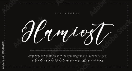 Signature Font Uppercase Lowercase And Number. Script Font Calligraphy Logotype elegant Font Type Font lettering handwritten. vector illustration 