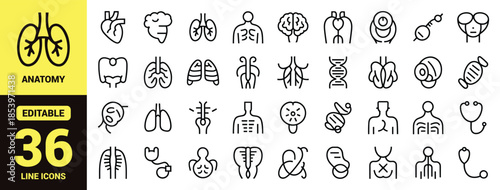 Human Internal Organ Icon Set with Minimalist Black Vector Symbols of Heart, Lungs, Brain, Stomach, Kidneys and Skeleton for Medical Design