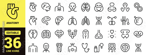 Human Internal Organ Icon Set with Minimalist Black Vector Symbols of Heart, Lungs, Brain, Stomach, Kidneys and Skeleton for Medical Design