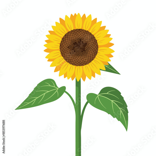 A vibrant, detailed illustration of a sunflower with its petals, leaves, and stem