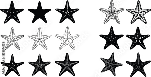 Black star icon set showing different styles, rating symbols, decorative shapes, design elements isolated on white background