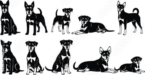 Dog silhouette collection, various sitting standing lying canine poses, black pet animal icons, vector illustrations isolated white background
