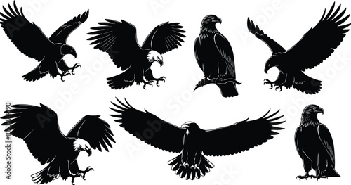 Eagle silhouette collection, flying and standing raptor poses set, black bird of prey vector illustrations isolated white background