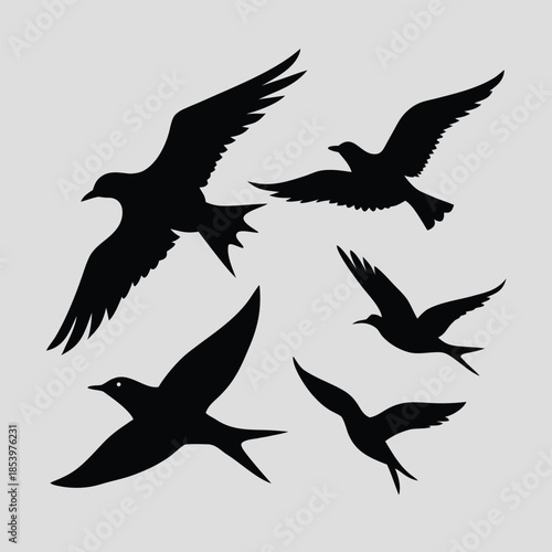 silhouettes of birds vector