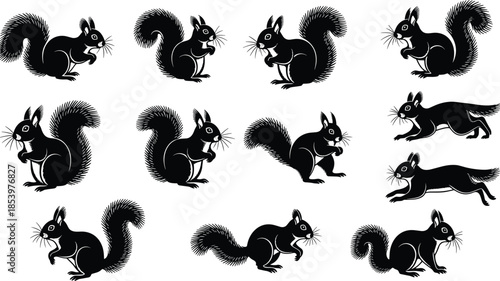 Black squirrel silhouette icon set showing different poses, movements, wildlife animal shapes, minimalist monochrome vector illustration collection