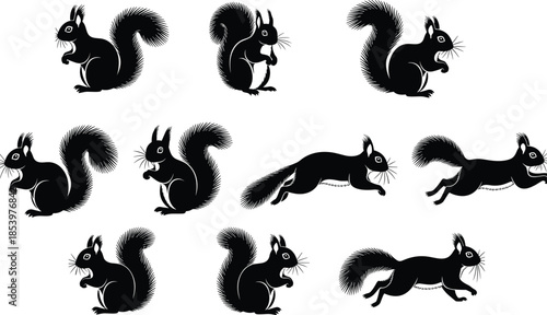 Black squirrel silhouette vector set with multiple poses, jumping running sitting wildlife animal icons, clean monochrome illustration collection for design