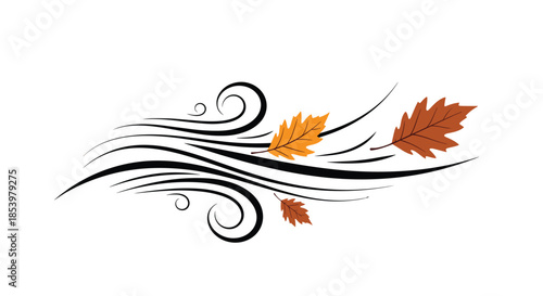 An elegant abstract swirl of black lines representing a gust of wind blowing three brown and orange oak leaves during the autumn season.