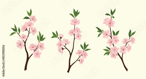 A beautiful set of three blooming cherry blossom branches with delicate pink sakura flowers and green leaves against a pale cream-colored background.
