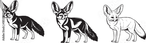 Intricate black and white line art of a fennec fox with detailed fur and large ears,  Fennec fox standing with prominent ears in a hand-drawn style, isolated vector image on transparent background,