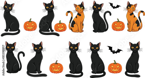 Detailed cat head vector set, eight figures with mixed tabby, black and gray colors and aggressive expressions