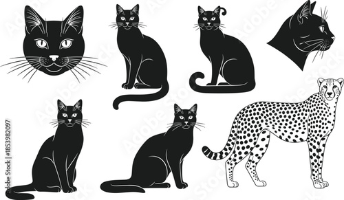 Set of black cat silhouettes, head portraits and cheetah vector illustration, isolated on white background, feline animal collection for design