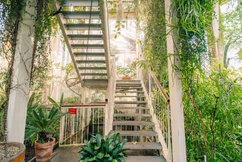 Conservatory and Botanical Garden of the city of Geneva is a museum and an institution in Geneva city in Switzerland