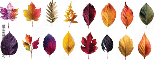 vector set of autumn leaves